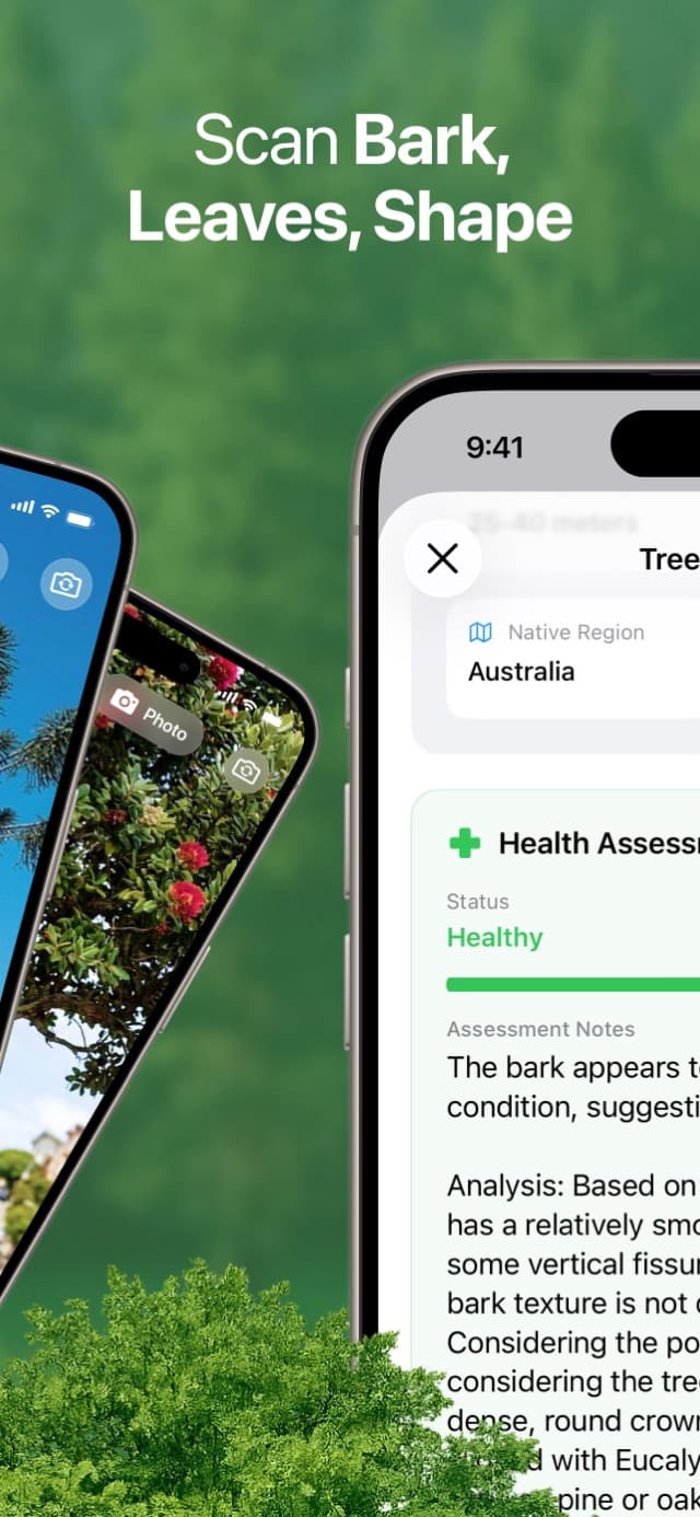 TreeBarkId result showing bark analysis, native region, and health assessment