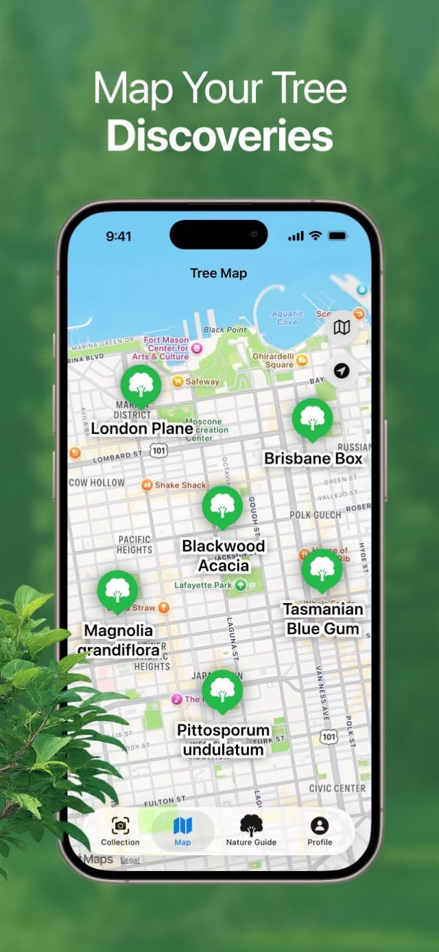 TreeBarkId map of saved tree discoveries