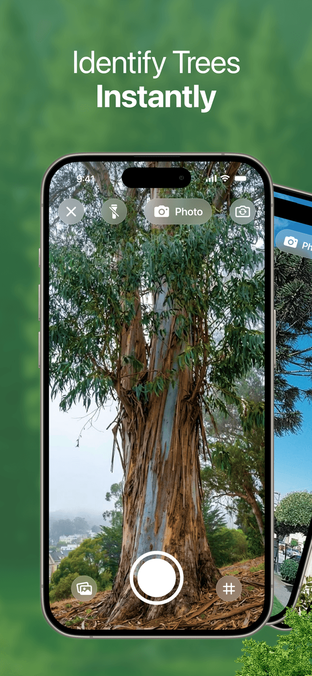 TreeBarkId identification screenshot