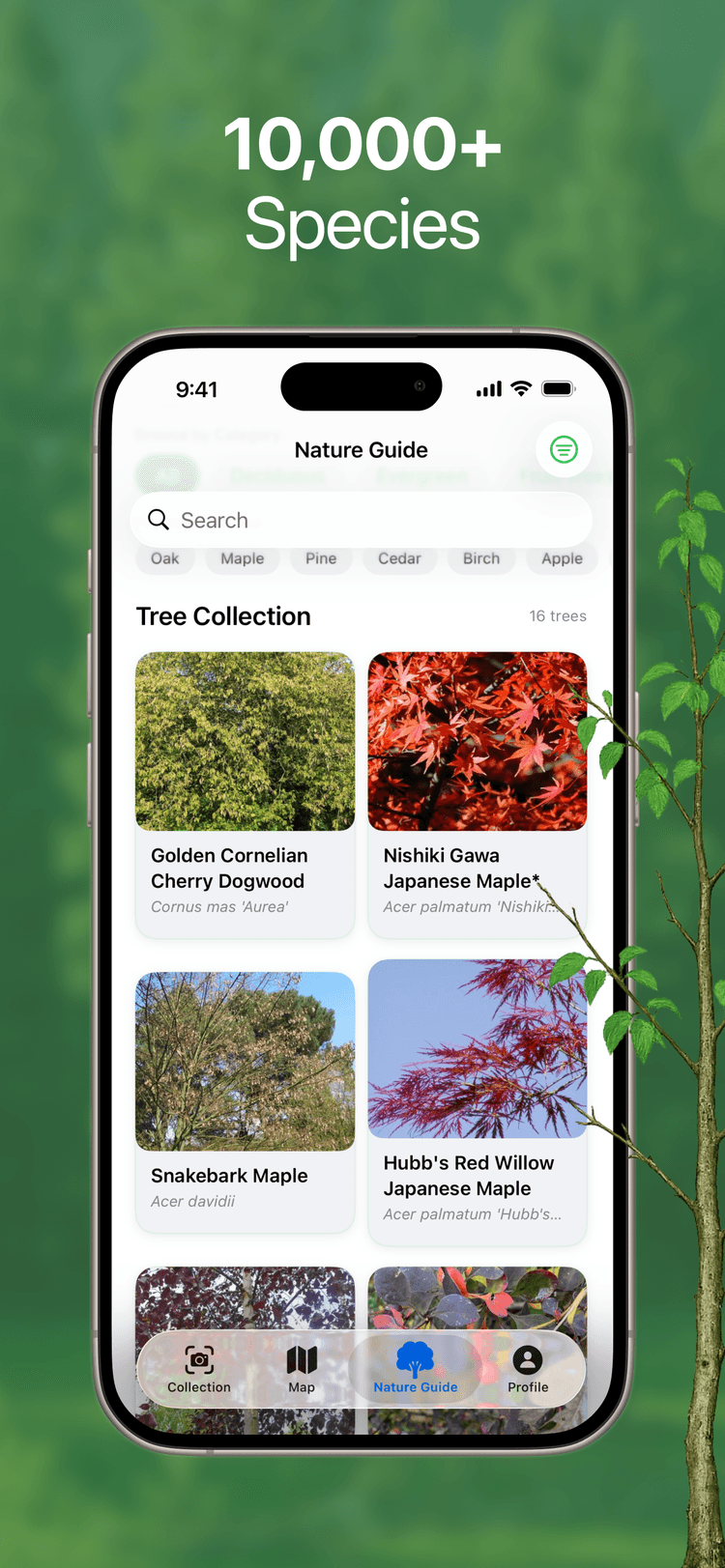 Explore species beyond the first answer